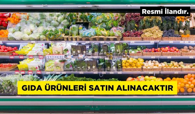 GIDA ÜRÜNLERİ SATIN ALINACAKTIR