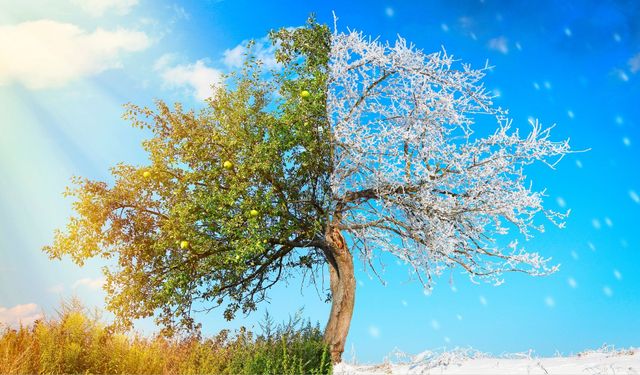 Edremit’te İki Mevsim Bir Arada!