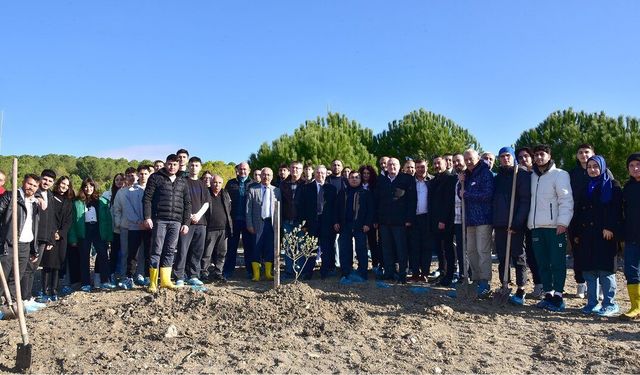 Zeytin Fidanları Balıkesir Üniversitesi'nde Kök Salıyor