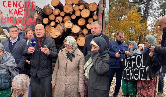 Kaz Dağları’ndaki Tahribata Sert Tepki! "Defol Cengiz"