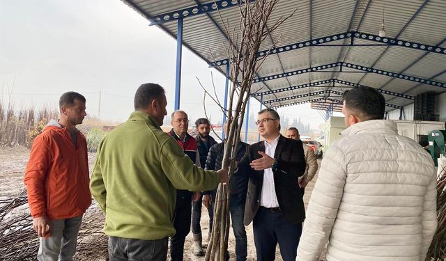 Balıkesir’de Ceviz Fidanı Üretimiyle Tarımsal Kalkınmaya Destek