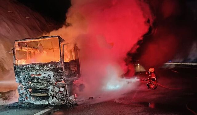 İstanbul-İzmir Otoyolu’nda Kauçuk Yüklü TIR Alev Topuna Döndü