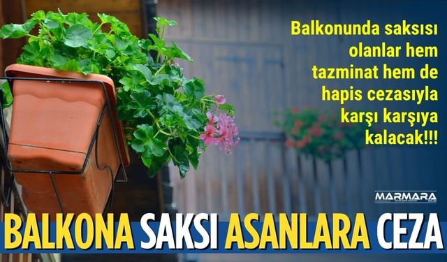Balkona Saksı Asanlara Ceza!