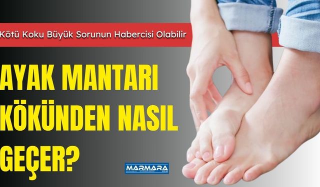 Ayak Mantarı Kökünden Nasıl Geçer?
