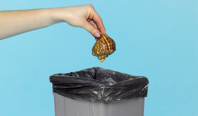 Çöp Kovusundaki Kötü Koku Nasıl Giderilir? Evde Uygulanabilecek Pratik Yöntemler