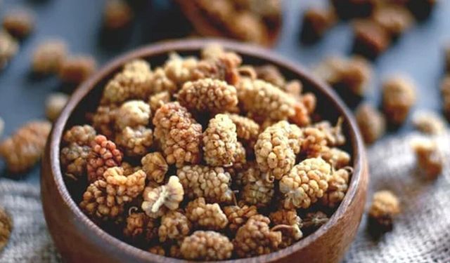 Beyaz Dut Kurusu Kürü İltihabı Azaltır mı?