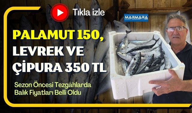 Palamut 150 TL, Levrek ve Çipura 350 TL