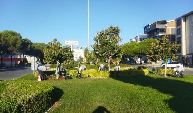 Burhaniye’de Yeşil Alanlara Kesintisiz Bakım