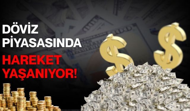 Döviz Piyasasında Hareket Yaşanıyor!