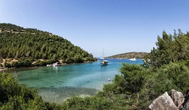 Filiz Koyu’nun Berrak Denizi Mest Ediyor