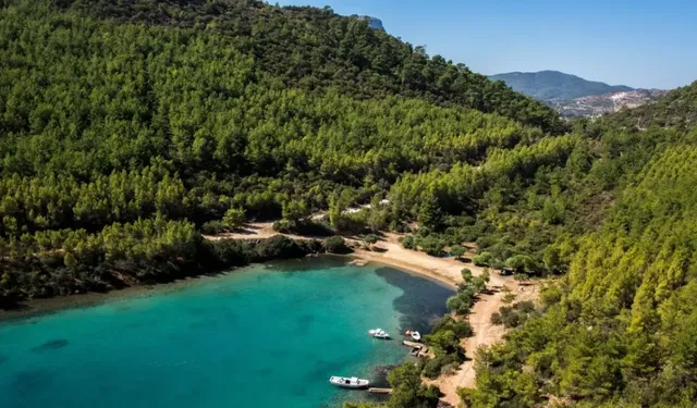 Bodrum’un Sessiz Cenneti: Cennet Koyu Doğasıyla Büyülüyor