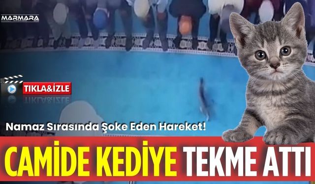 Camide Kediye Tekme Attı