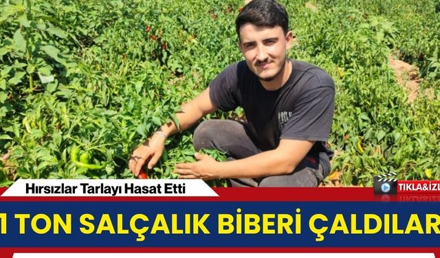 1 Ton Salçalık Biberi Çaldılar