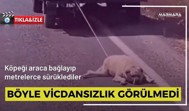 Böyle Vicdansızlık Görülmedi
