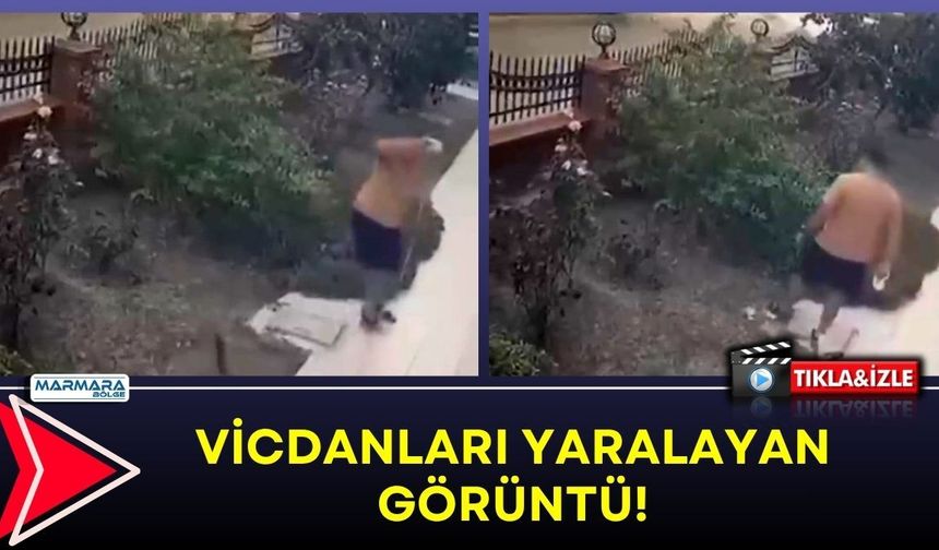 VİCDANLARI YARALAYAN GÖRÜNTÜ!