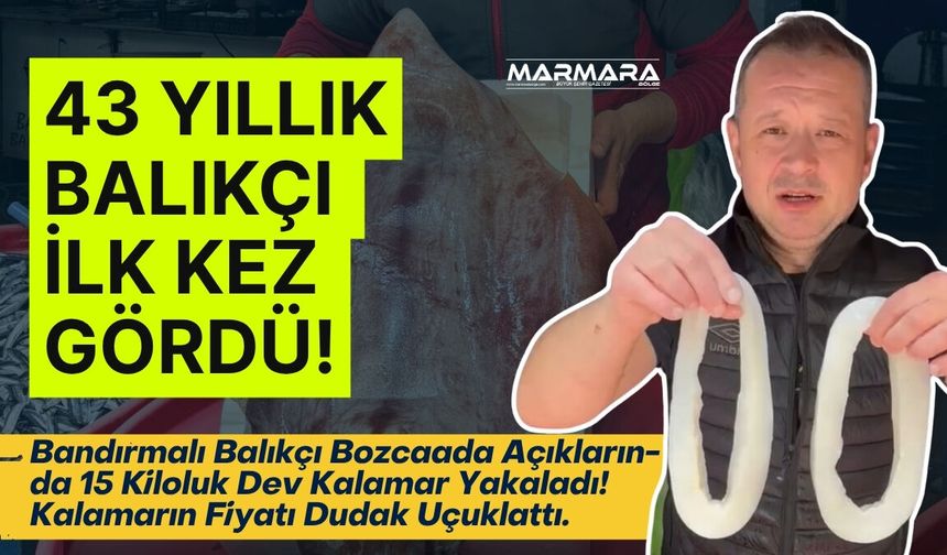 15 Kiloluk Dev Kalamar Yakalandı! Görenler Gözlerine İnanamadı