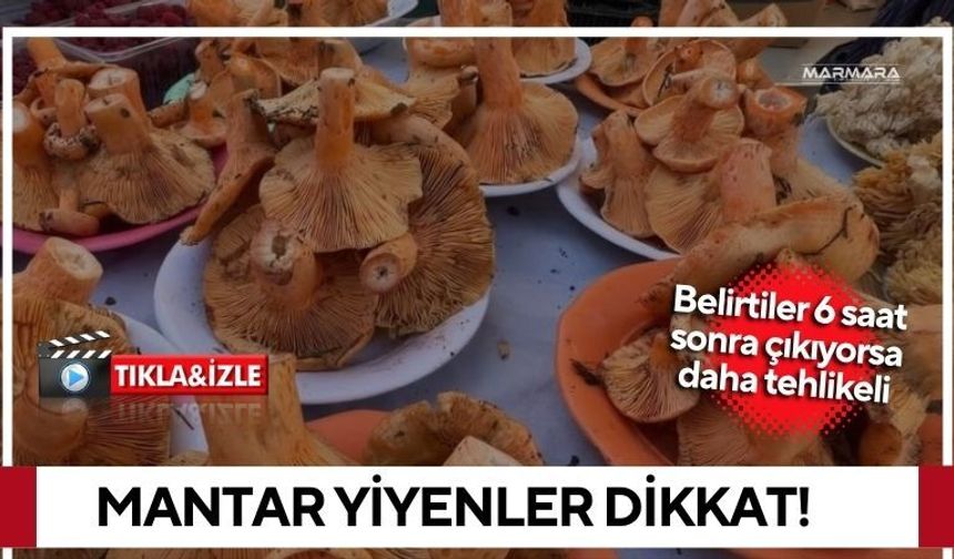 Mantar Yiyenler Dikkat!
