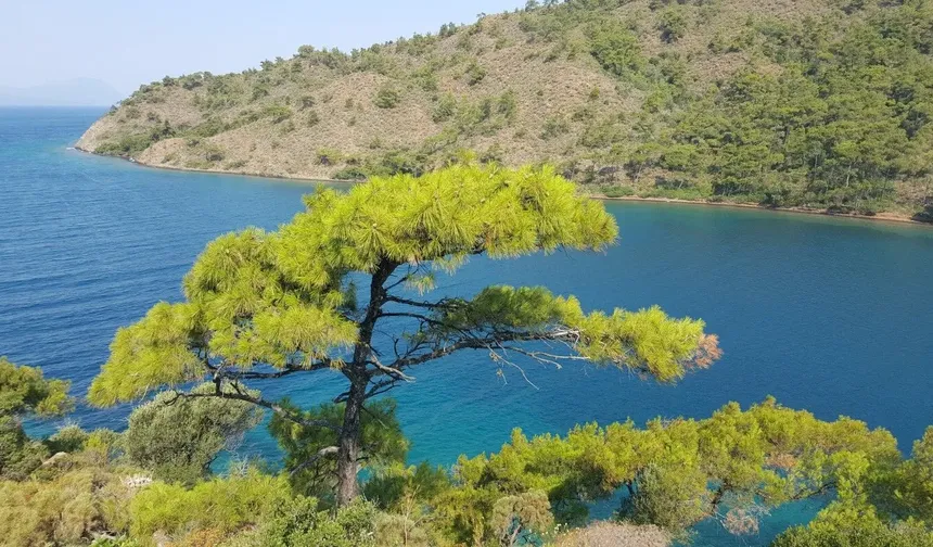 Bir Giden Günlerce Dönmüyor! Doğanın İçinde Saklı Cennet