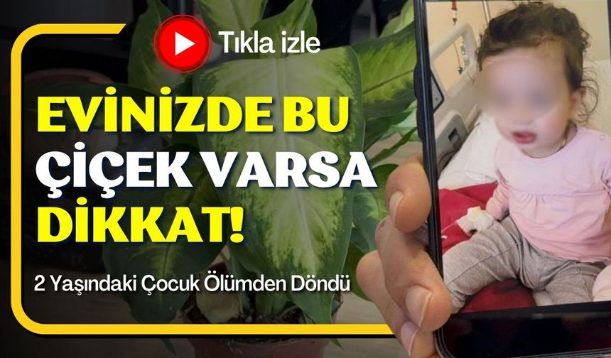 Evinizde Bu Çiçek Varsa Dikkat!