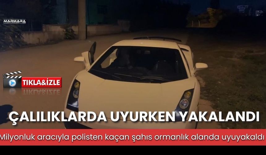 Çalılıklarda Uyurken Yakalandı