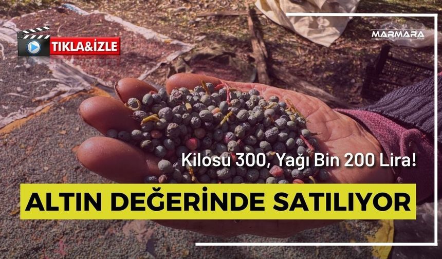 Altın Değerinde Satılıyor