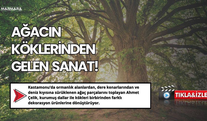 Ağacın Köklerinden Gelen Sanat!