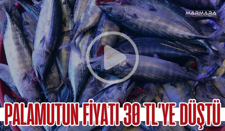Palamutun Fiyatı 30 TL’ye Düştü