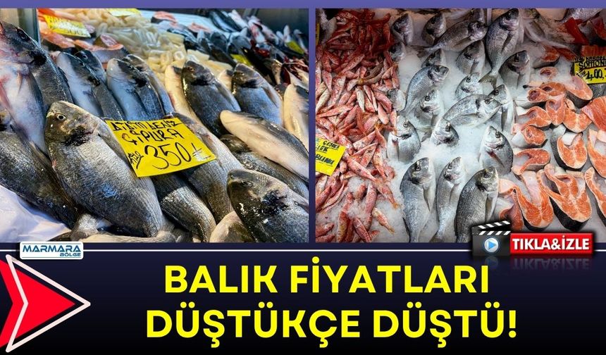 Balık Fiyatları Düştükçe Düştü!