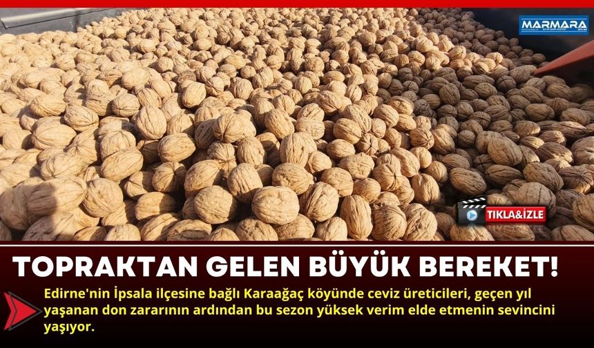 Topraktan Gelen Büyük Bereket!