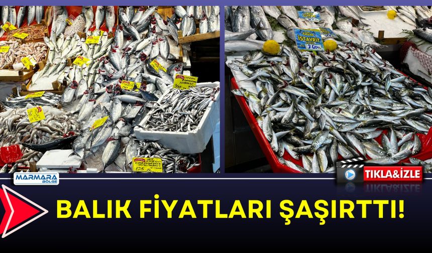Balık Fiyatları Şaşırttı!