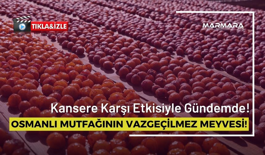 Kansere Karşı Etkisiyle Gündem Olan Osmanlı Mutfağının Vazgeçilmez Meyvesi!