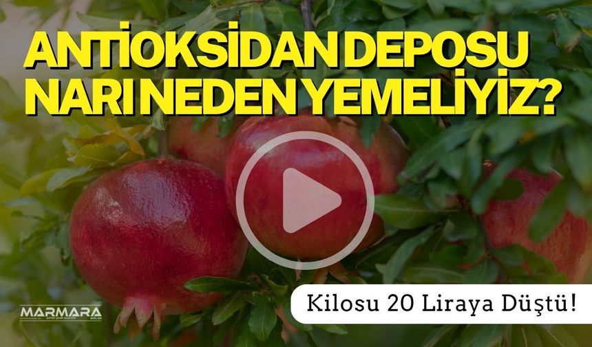 Neden Nar Yemeliyiz?