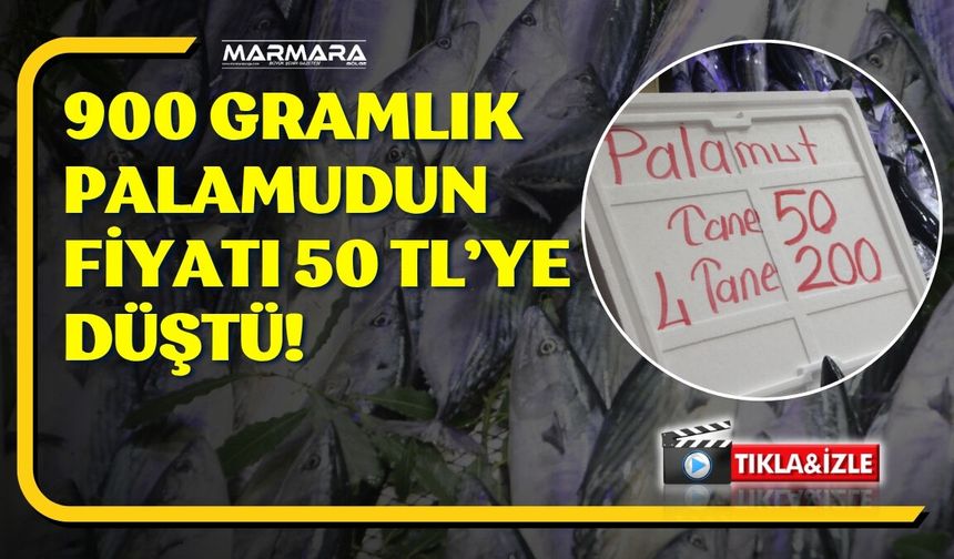 PALAMUDUN TANESİ 50 TL’YE DÜŞTÜ!
