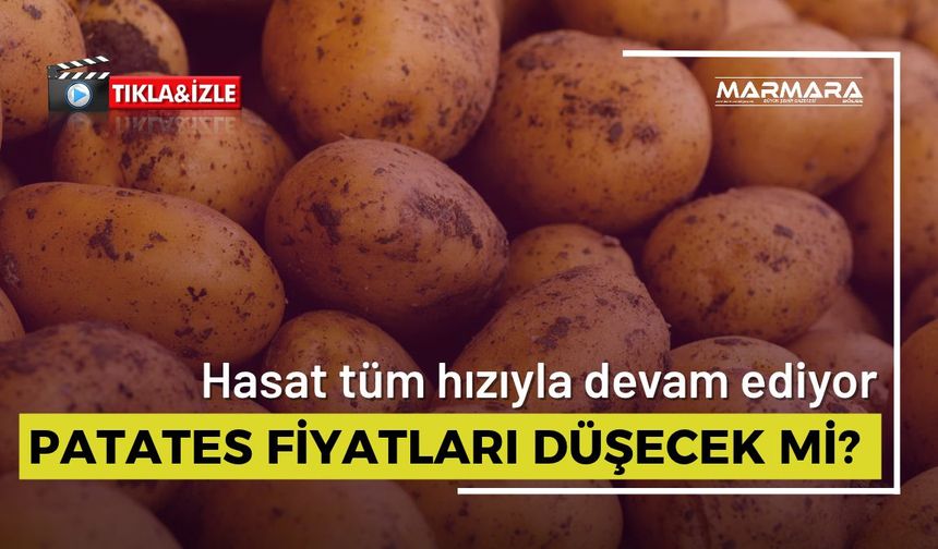 Patateste Hasat Başladı! Fiyatlar Nasıl Etkilenecek?