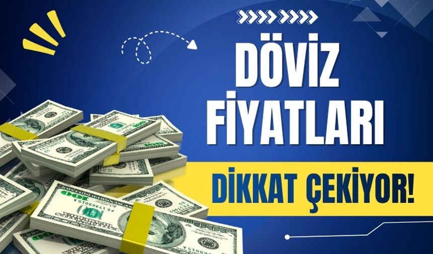 Döviz Fiyatları Dikkat Çekiyor