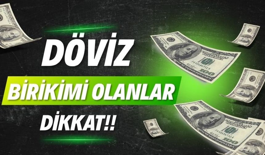 Döviz Birikimi Olanlar Dikkat!