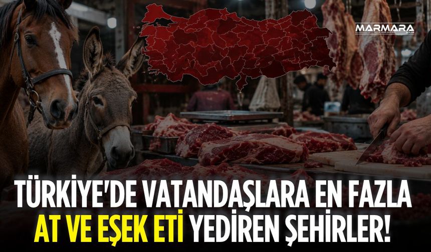 Türkiye'de Vatandaşlara En Fazla At ve Eşek Eti Yediren Şehirler! Bakanlığın Listesi Şoke Etti
