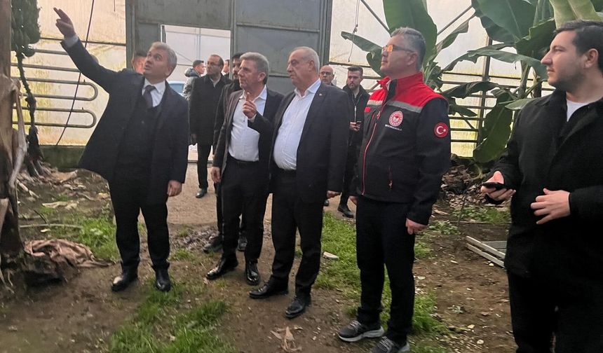 Gönen’de Jeotermal Kaynaklı Muz Üretimi Sürüyor