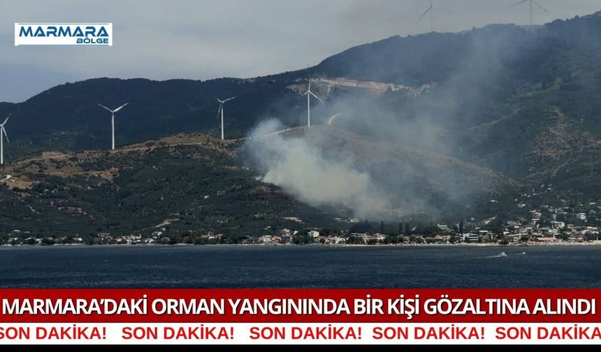 Marmara’daki Orman Yangınında Bir Kişi Gözaltına Alındı