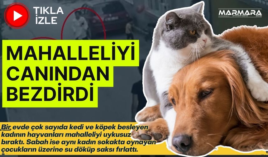 Mahallelinin Sabrı Taştı! Gece Yarısı Sokağa Çıktılar
