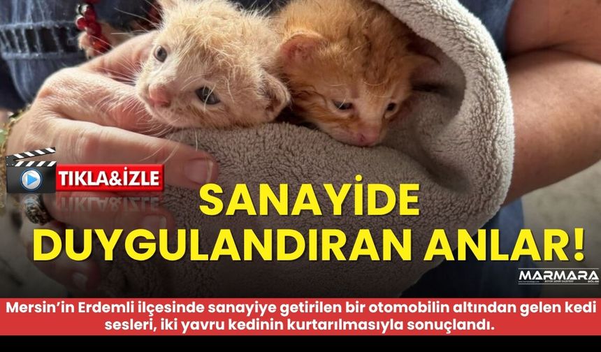 Sanayide Duygulandıran Anlar!