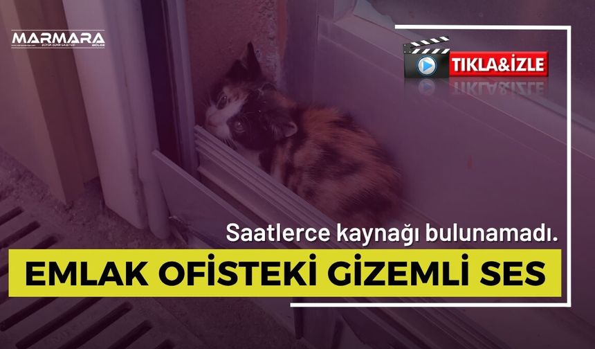 Emlak Ofisteki Gizemli Ses!