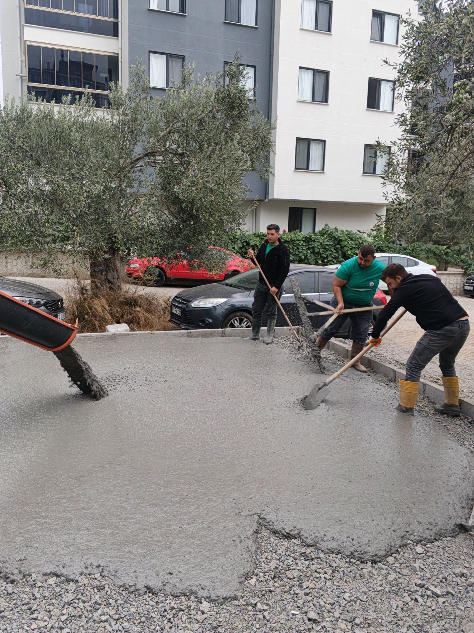 819164585 1143137925051025 4433065319782430650 N