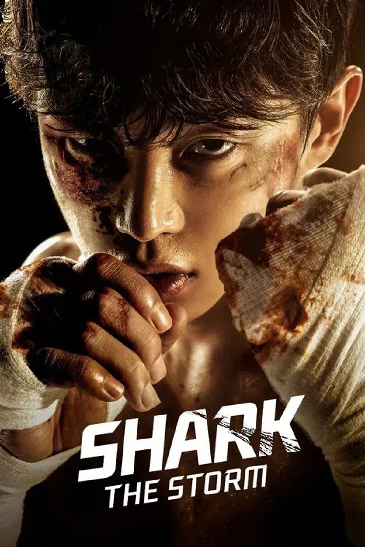 Shark The Storm-1