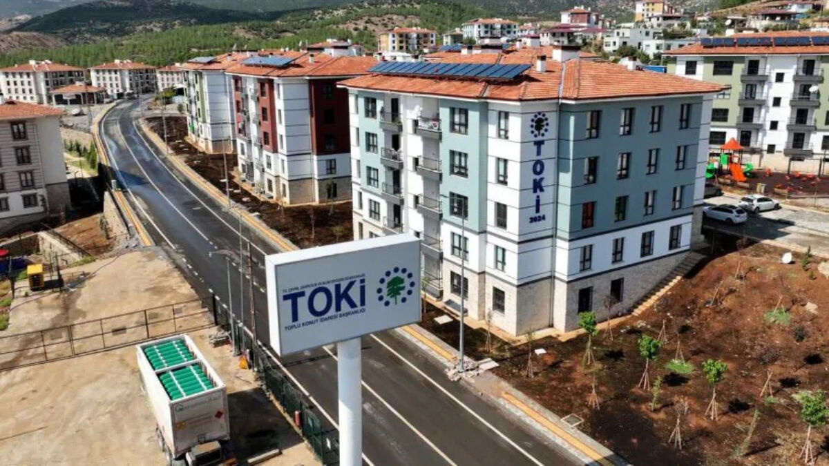 Toki (2)-2