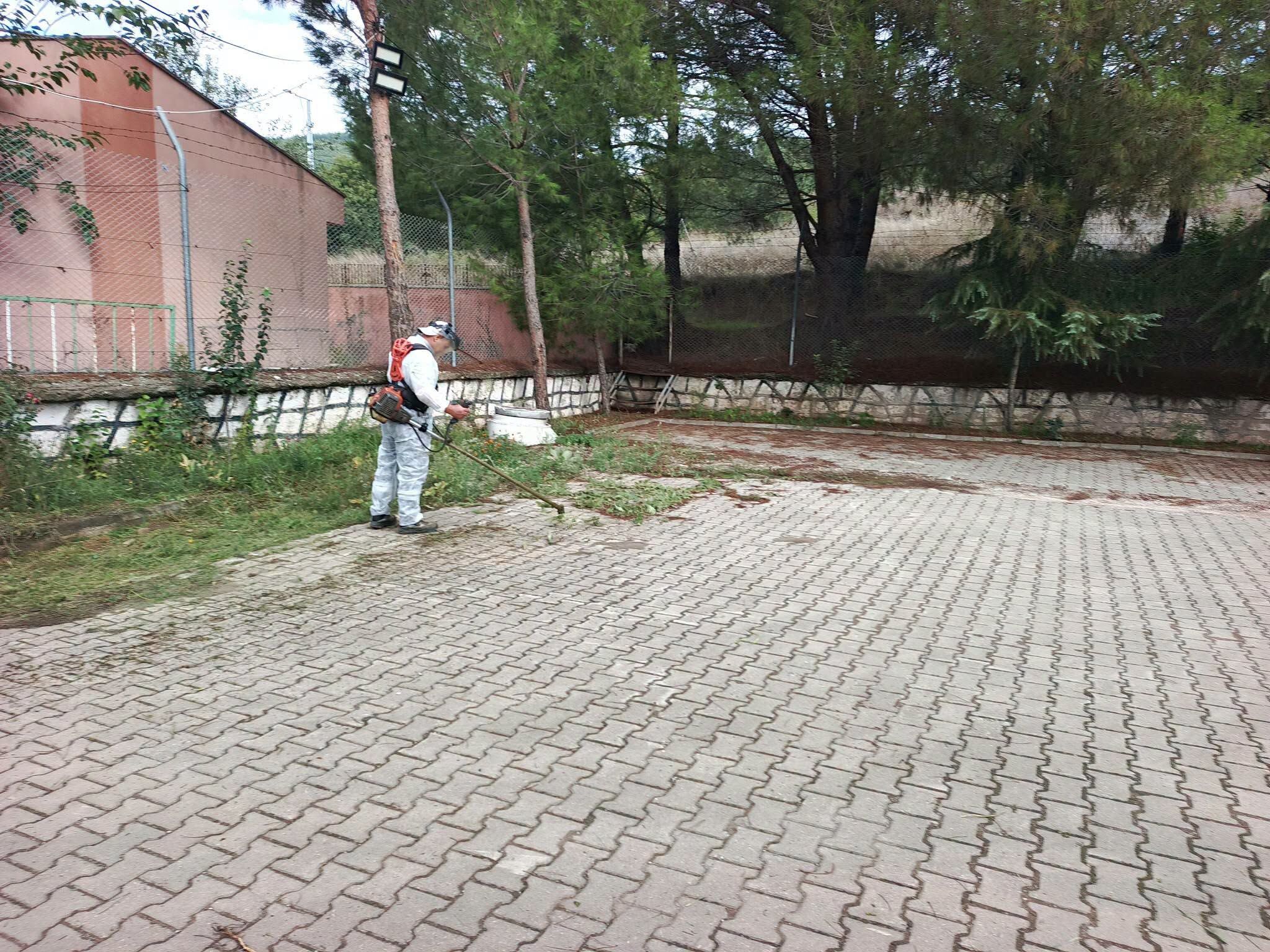 829319751 1405102931829919 328993754564170632 N