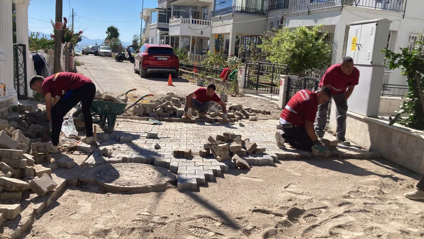 840333113 1105676038613270 3843904346929673958 N