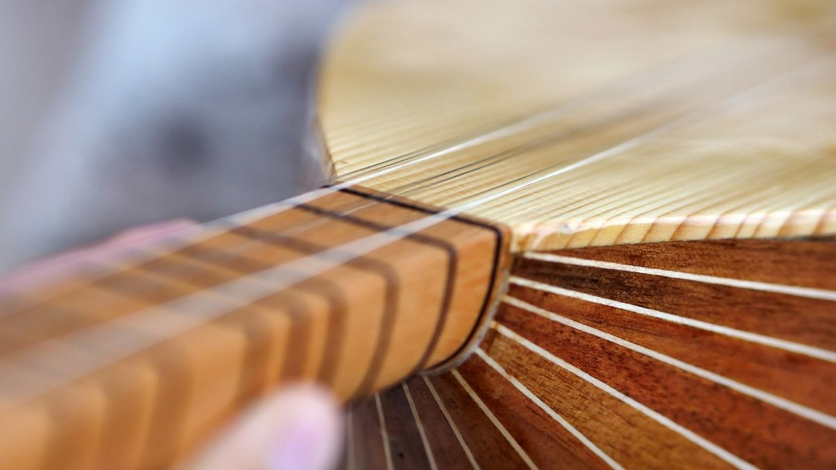 Bağlama (2)