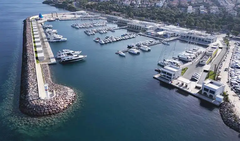 Foca Marina