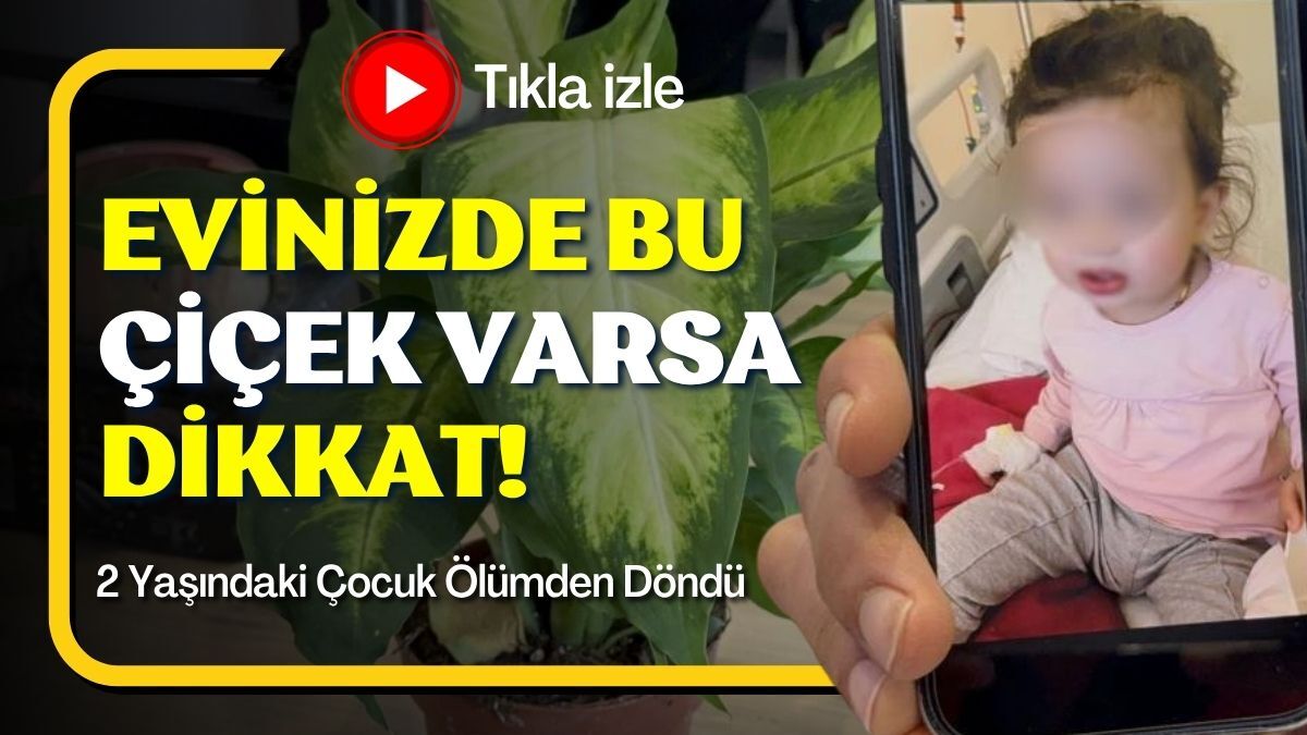 Evinizde Bu Çiçek Varsa Dikkat!